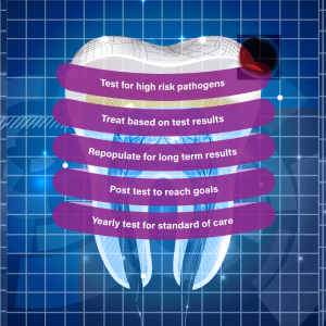 Assessment-for-gingival-and-periodontal-infections | Cary and Raleigh, NC